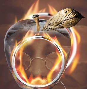 Meet your Posher, Don